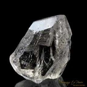 Lemurian Crystal 'Light Language Royalty' 9D Energy Gateway' RESERVED